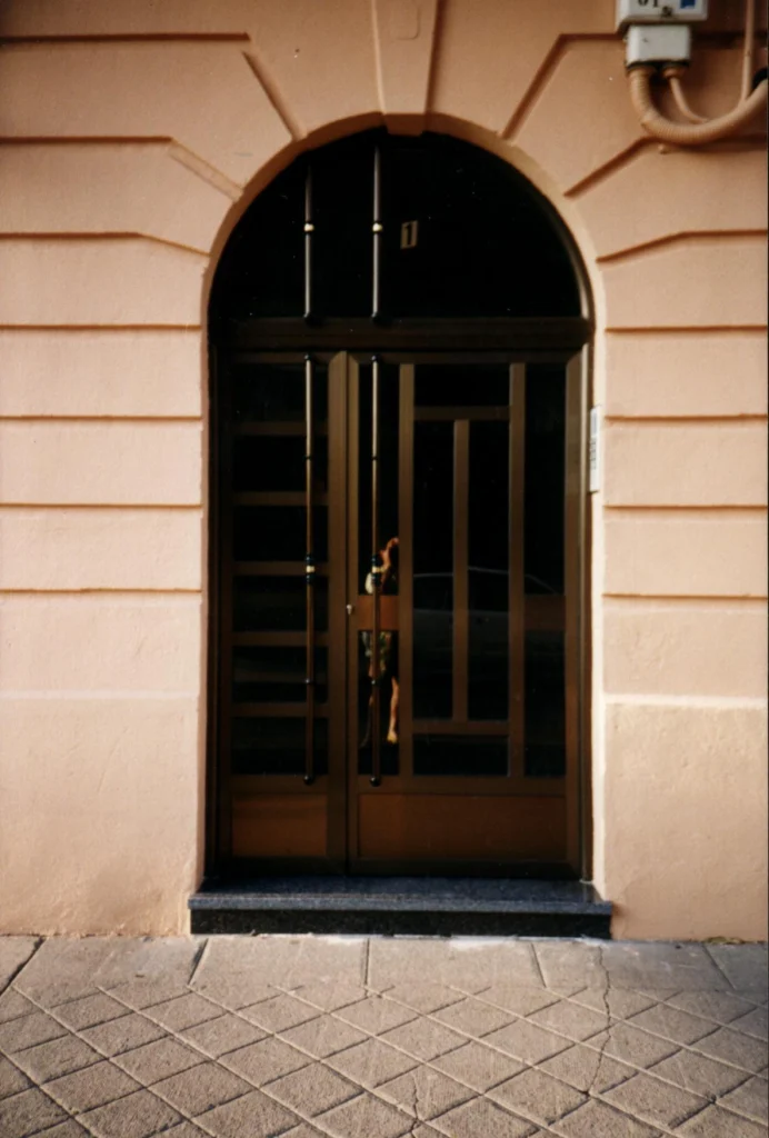 Aluleon - Puertas de Entrada 2